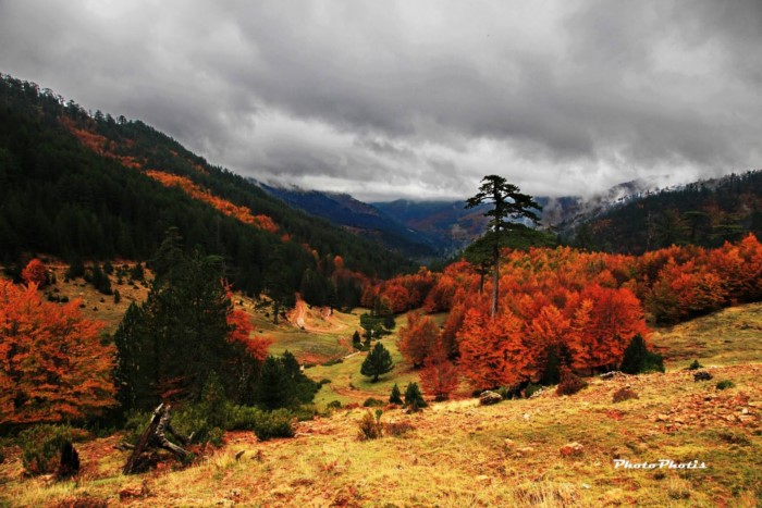 Τα πιο εντυπωσιακά μέρη το Φθινόπωρο στην Ελλάδα σε 32 εικόνες που μαγεύουν - Εικόνα 62